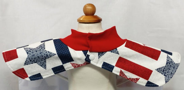 Red, White, & Blue / Larger Version