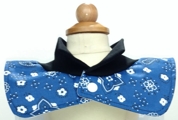 Blue Bandana