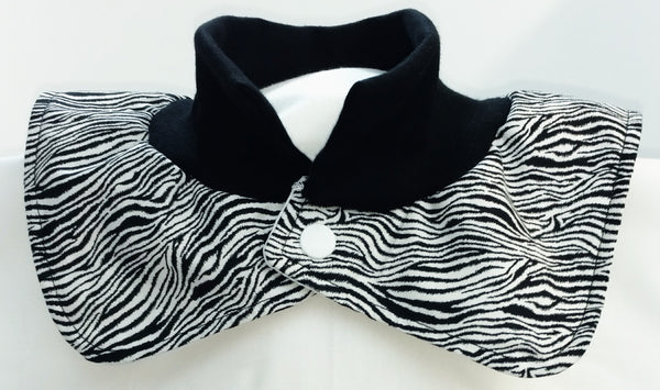 Baby Zebra